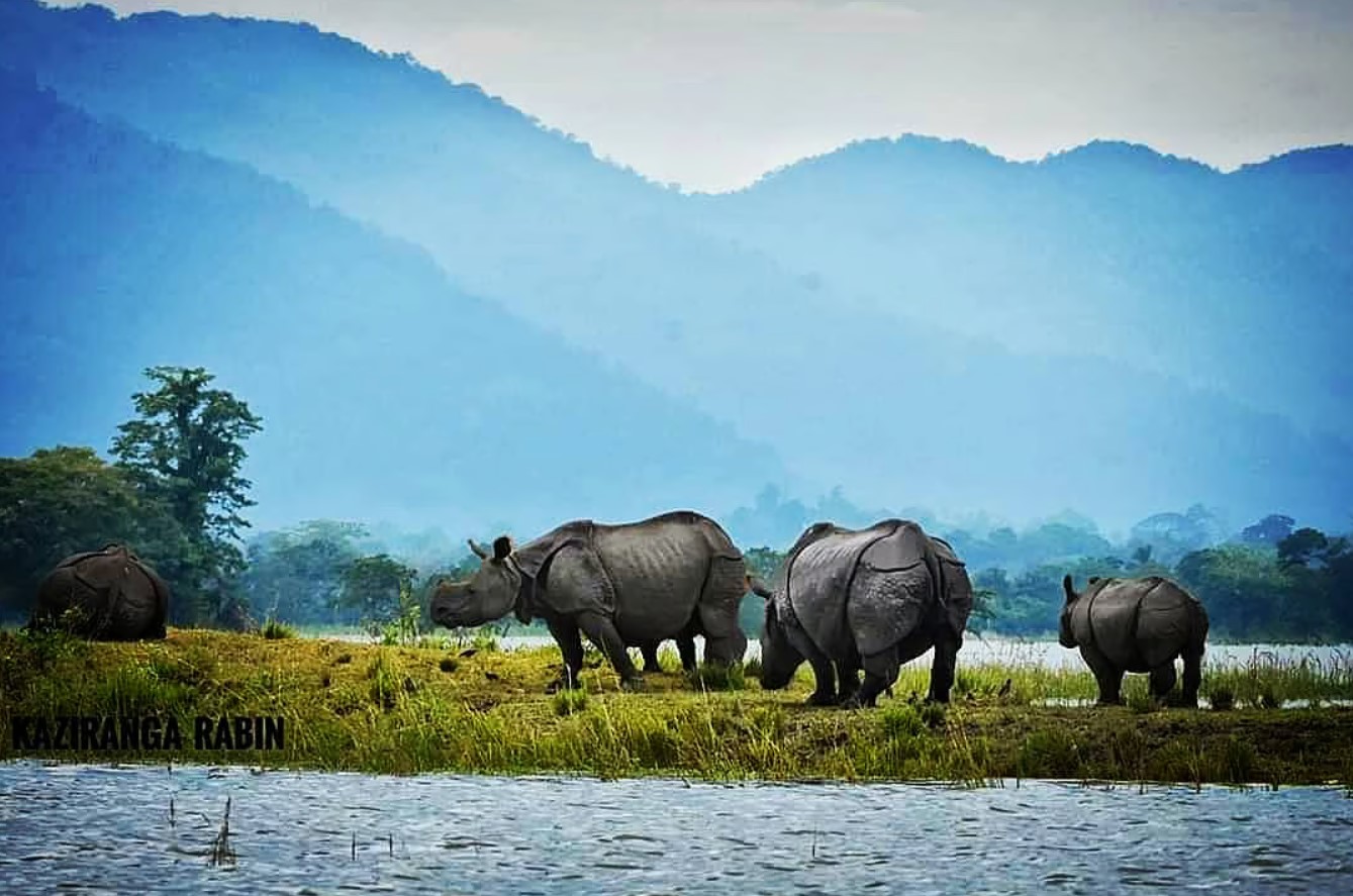 8 Incredible Facts About Northeast India That Will Amaze You! 8 Kaziranga national park